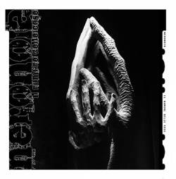 Il Rumore delle Cose